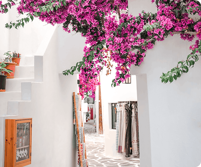Ruelle grecque traditionnelle avec bougainvilliers roses et architecture blanche des Cyclades